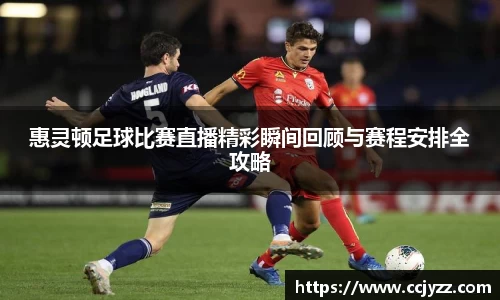 XK星空体育下载