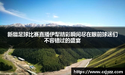 新疆足球比赛直播伊犁精彩瞬间尽在眼前球迷们不容错过的盛宴