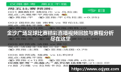 XK星空体育下载