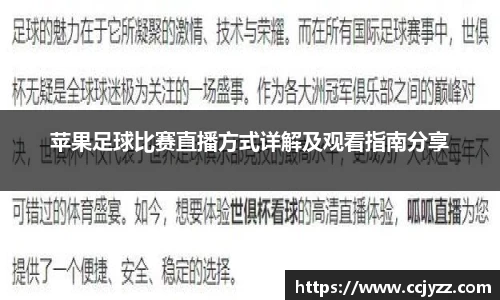 XK星空体育官网