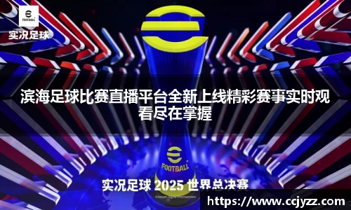 XK星空体育下载