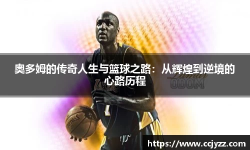 XK星空体育平台