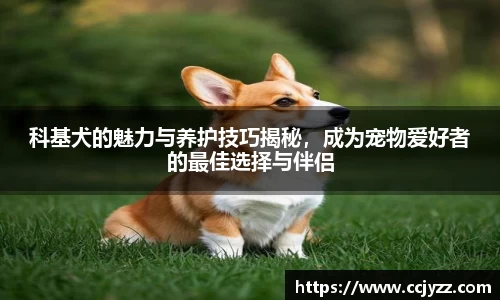 XK星空体育官网