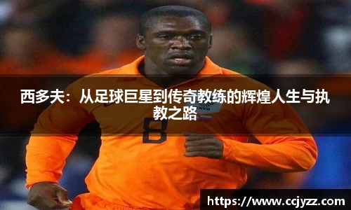 西多夫：从足球巨星到传奇教练的辉煌人生与执教之路