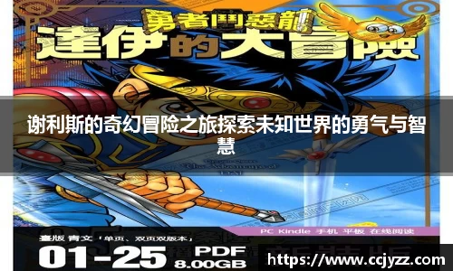 XK星空体育官网